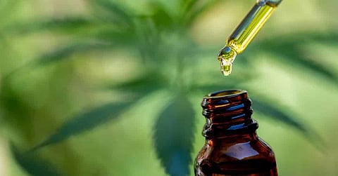 Why You Should Consider Using CBD Live Resin