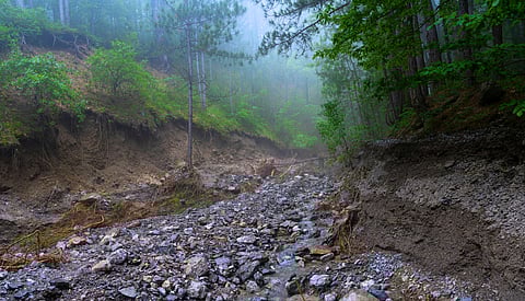 What causes landslides? Can we predict them to save lives?