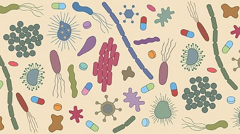 Explainer: How climate change has become one of leading causes of AMR deaths in India