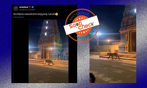 Fact Check: ಬೆಂಗಳೂರಿನ ರಾಜಾಜಿನಗರದಲ್ಲಿ ಹುಲಿ ಕಾಣಿಸಿಗೊಂಡಿದ್ದು ನಿಜವೇ?, ವೈರಲ್ ವೀಡಿಯೊದ ಸತ್ಯಾಂಶ ಇಲ್ಲಿದೆ