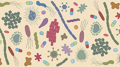 Antibiotic resistance estimated to claim over 39 million lives in next 25 years: Lancet study