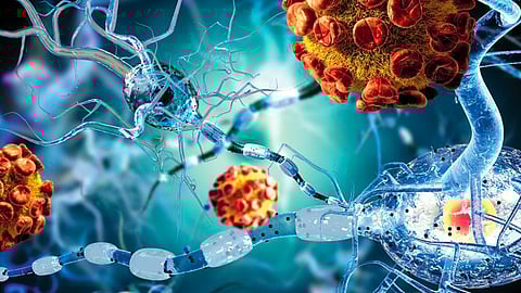 Ovary insufficiency linked to higher chances of autoimmune disorder
