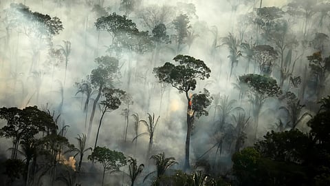 Climate change could reduce Amazon's methane absorbtion by 70 per cent, study suggests