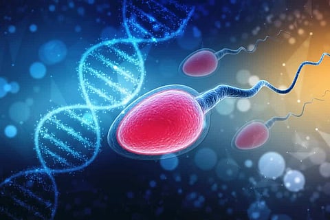 Damaged DNA in sperms could double risk of pre-eclampsia in women conceiving by IVF, study finds