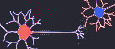 Brain scans reveal consuming cannabis as teen affects neuron communication