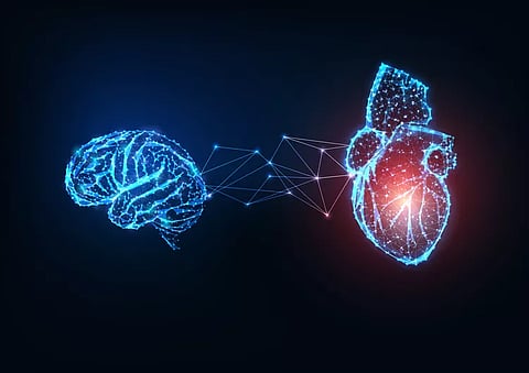 Brain health could decline in men with heart disease risk a decade sooner than women, study finds