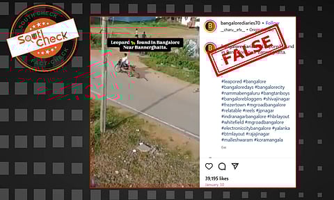Fact Check: ಬನ್ನೇರುಘಟ್ಟದಲ್ಲಿ ಚಿರತೆ ಕಾಣಿಸಿಕೊಂಡಿದೆ ಎಂದು ಮೈಸೂರಿನ ಹಳೆಯ ವೀಡಿಯೊ ವೈರಲ್