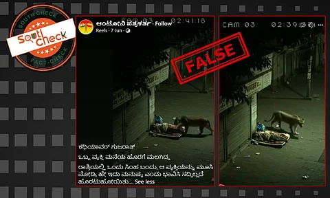 Fact Check: ಗುಜರಾತ್ನಲ್ಲಿ ಮನೆಯ ಹೊರಗೆ ಮಲಗಿದ್ದ ವ್ಯಕ್ತಿಯನ್ನು ಸಿಂಹ ಮೂಸಿ ಹೋದ ವೀಡಿಯೊದ ಸತ್ಯಾಂಶ ಏನು?