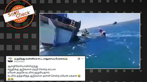 யேமன் கடலில் தத்தளித்த ஆடுகளை திருடிய யேமனியர்கள்