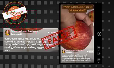 Fact Check: ആപ്പിളില് വിഷം കുത്തിവെച്ച് ആപ്പിള് ജിഹാദ്? വീഡിയോയുടെ സത്യമറിയാം