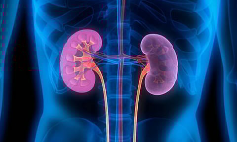 Telangana records highest kidney impairment rate in India at 7.4%