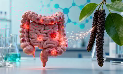 NIT Rourkela scientists spotlight long pepper compound’s potential as colon cancer treatment