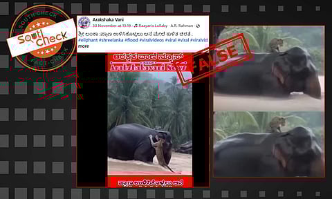Fact Check: ಶ್ರೀಲಂಕಾದ ಪ್ರವಾಹದ ಮಧ್ಯೆ ಆನೆ ಚಿರತೆಯನ್ನು ರಕ್ಷಿಸುತ್ತಿರುವ ಈ ವೀಡಿಯೊ AI- ರಚಿತವಾಗಿವೆ