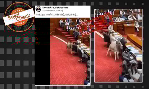 Fact Check: ಪಾಕಿಸ್ತಾನ ಸಂಸತ್ತಿಗೆ ಕತ್ತೆ ಪ್ರವೇಶಿಸಿದೆಯೇ? ಇಲ್ಲ, ಈ ವೀಡಿಯೊ ಎಐಯಿಂದ ರಚಿತವಾಗಿದೆ