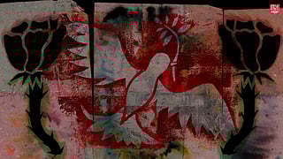 An illustration in a graffiti style of a white dove holding an olive branch in the center, and a large black rose on either side.