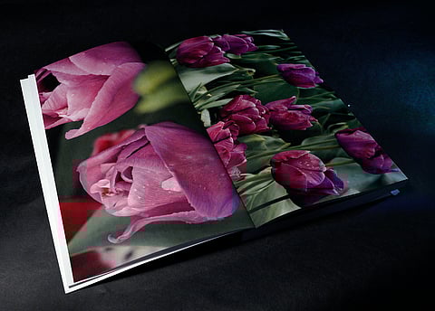NaKeesa Frazier-Jennings' “100 Days of Gentle Accountability” features photography from her husband, George Jennings. In this photo, it lays open on a dark backdrop to a spread of tulip photos, one a close-up on two tulips, the other a group of tulips photographed from a few feet away.