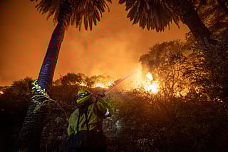 A firefighter in yellow protective gear sprays water at intense flames engulfing dense vegetation at night, surrounded by palm trees and smoke. The sky glows orange from the fire.