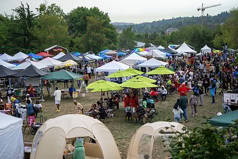 A large crowd of people gather amongst many tents with vendors at an event in a park