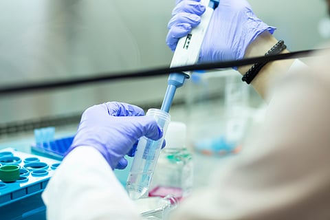 Medicine and medical laboratory cell culturing at the safety cabinet.