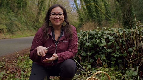 Woman foraging in the forest, holding a small knife and crouching by ivy with a wicker basket, wearing a maroon Columbia jacket and glasses.