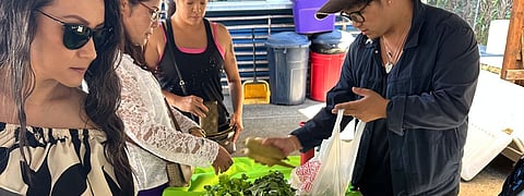 People gather around a market table selecting fresh herbs and vegetables, including cilantro and green onions, at an outdoor vendor stall under a shaded area.