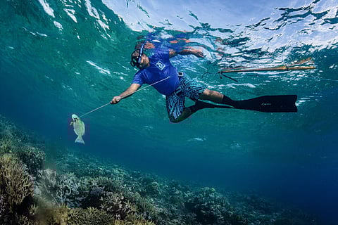 Snorkeler underwater over coral reef, wearing fins and mask, holding a spear with a freshly caught fish in clear blue ocean.