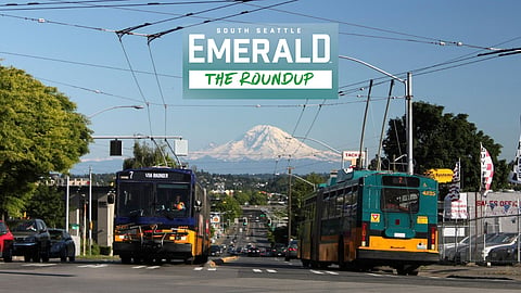 Two Metro Route 7 buses meet at the foot of Rainier Avenue. Both are converted Breda articulated electric trolleybuses. Trolley wires frame Mount Rainier, standing clear above the cityscape.