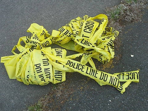 Photo Credit: Cindi Laws