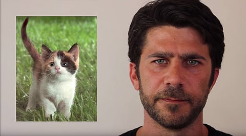 Brett Hamil: Sawant Rescues Kitten from Tree