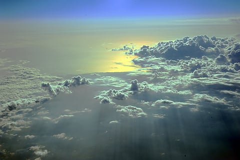 The Life and Legacy of Michael Flowers