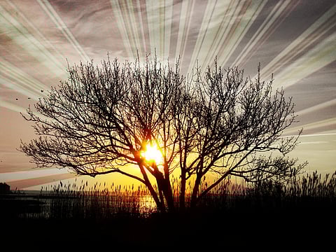 The New Woke (Part Three) Moving Into the Beyond: A Revolutionary Awakening