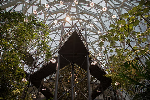 Seattle's Gilded Age: Housing for Trees, but not for People