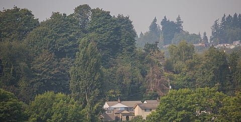 Smoke hangs over a South End neighborhood in Seattle, Washington, on Aug. 22, 2018. (Photo: Carolyn Bick)