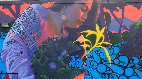 Mount Baker Mural Washed Vast Sea Across Two Walls