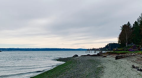 South End Stew: Twilight