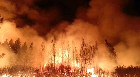 The Rim Fire in the Stanislaus National Forest near in California began on Aug. 17, 2013 and is under investigation. The fire has consumed approximately 149, 780 acres and is 15% contained. U.S. Forest Service photo.