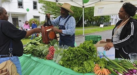 Clean Greens Brings Sustainable Food Economy to Seattle