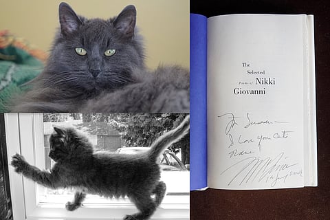 Perspective: Caring for Your Beloved Pet Amid Uncertain Times