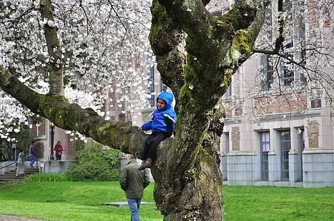 An Unusual UW Merchandising Deal Is Encouraging Thousands of Kids to Read