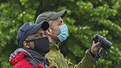 The Joys and Risks of Being a Black Birdwatcher in Rainier Beach