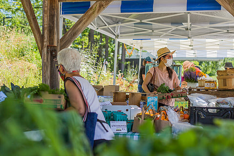 People pick out produce and other farmed goods at Tilth Alliance's farm stand at the organization's Rainier Beach home base in Seattle, Washington, on June 25, 2020. (Photo: Carolyn Bick)