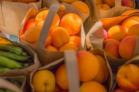 Fresh apricots sit in bags next to snow peas at Tilth Alliance's farm stand at the organization's Rainier Beach home base in Seattle, Washington, on June 25, 2020. (Photo: Carolyn Bick)