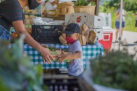 Adrianna Petty, left, hands Jordan Petty a box of produce to carry at Tilth Alliance's farm stand at the organization's Rainier Beach home base in Seattle, Washington, on June 25, 2020. (Photo: Carolyn Bick)
