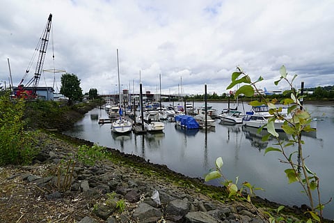Groundbreaking of Port's Terminal 117 Park Increases Access for Duwamish Valley Communities
