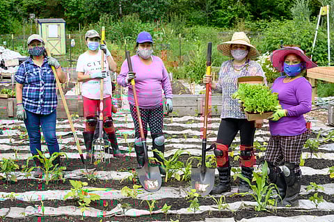 Farming For Change: Meet the Latinx Women Leading South Park's New Community Farm
