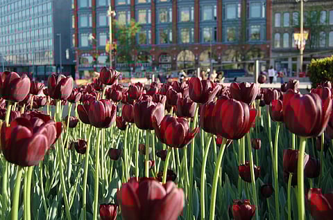 Remembering Beverly Sims: A Lifelong Advocate