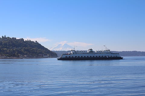 Forterra's South Sound Gathering Brings Together BIPOC Leaders to Discuss the Future of Conservation in Our Region