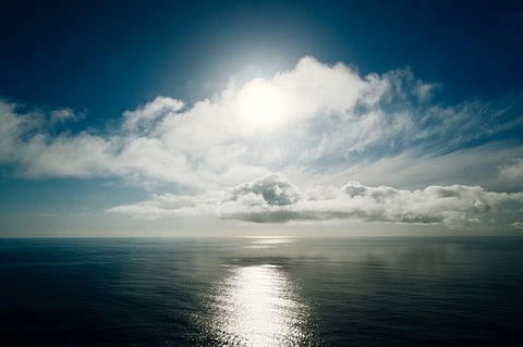 OPINION: The Complex Journey of a Transitional Immigrant: Words for Rahwa