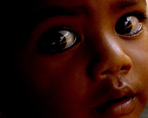 Weekend Long Reads: The Eyes Have It