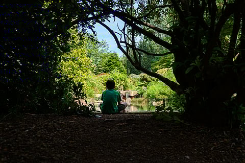 Family Exploration Kits Encourage Science Learning and Outdoor Activities at the Arboretum, Kubota Garden, and Your Own Backyard